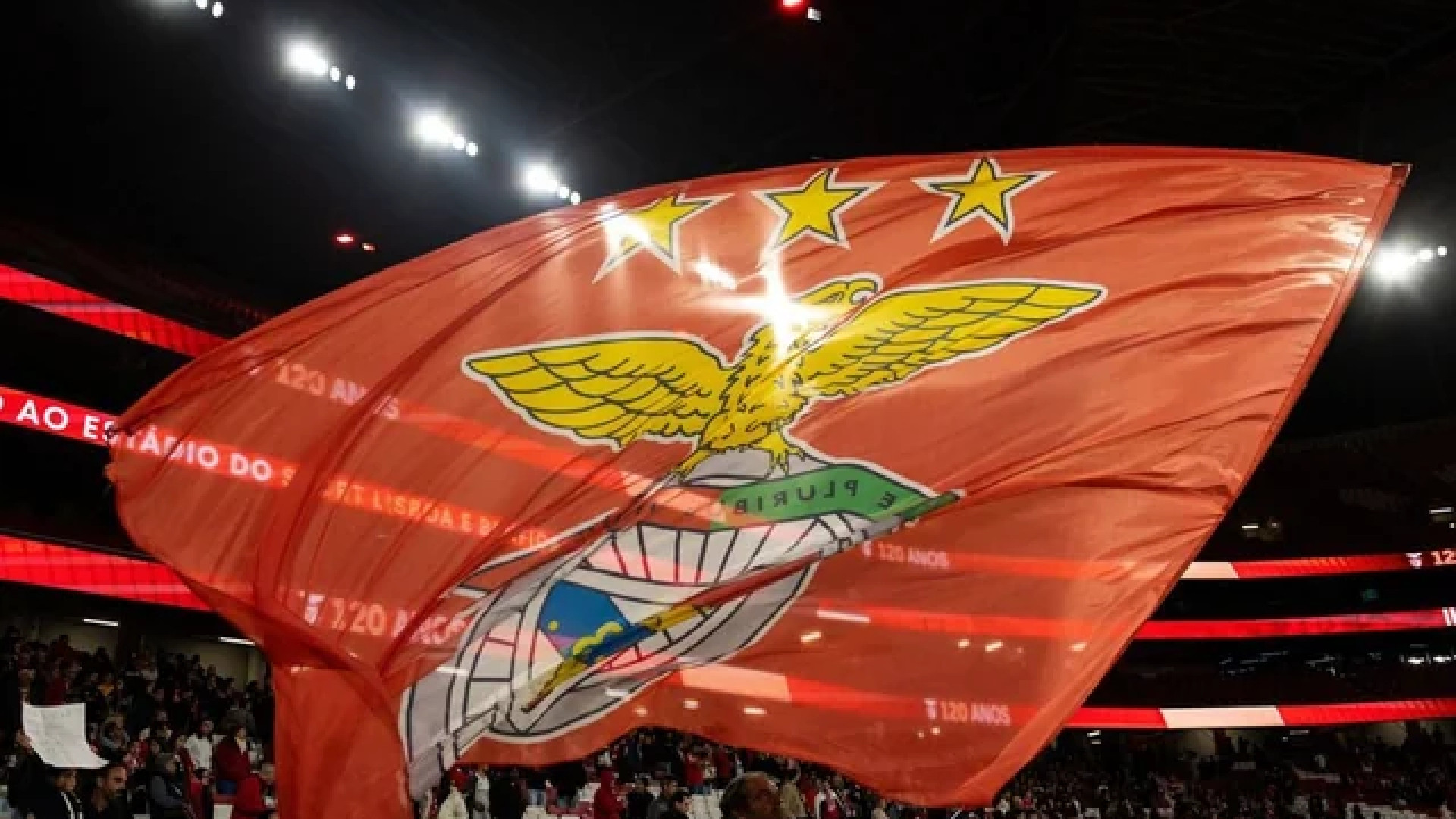 Bomba dal Portogallo: "La Procura vuole sospendere il Benfica da tutte le competizioni". Gravissime le accuse