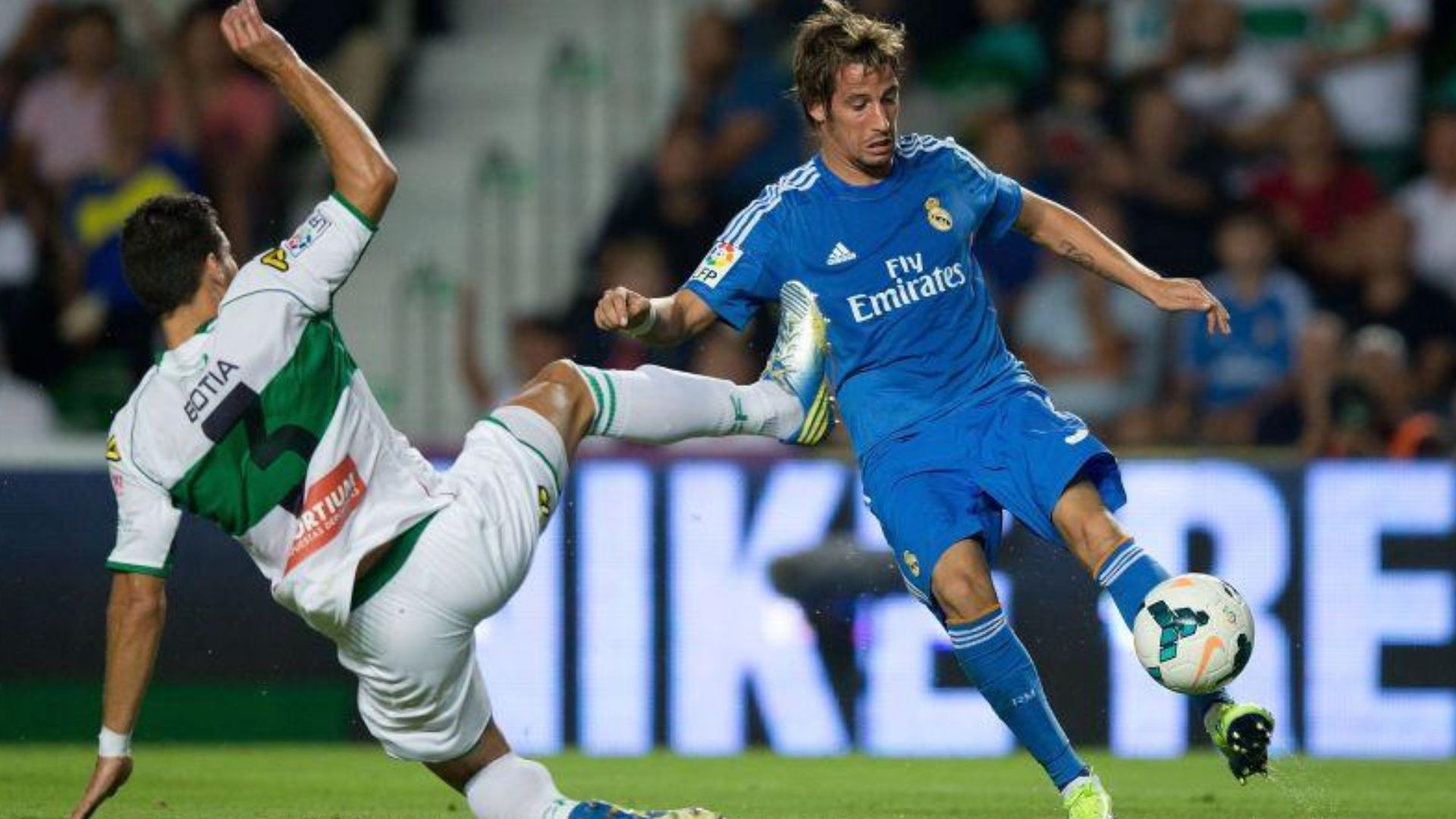 Coentrao-pescatore