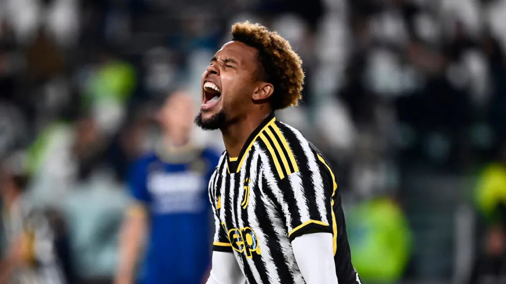 mckennie-juventus-copia