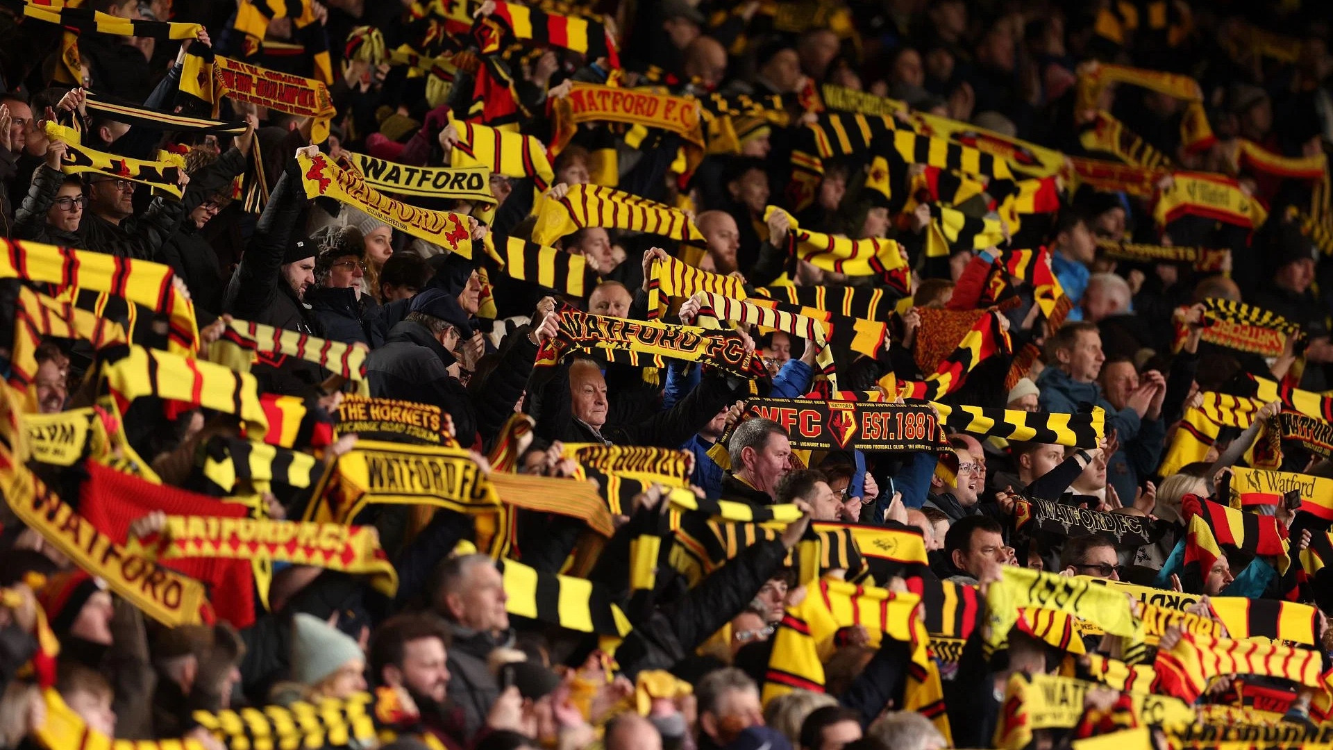 tifosi-watford